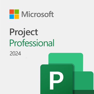 Microsoft Project Professional 2024