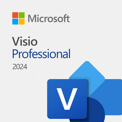 Microsoft Visio Professional 2024
